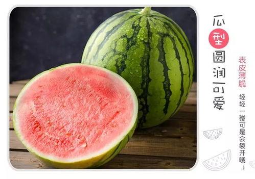 盲盒界吃瓜,揭秘吃瓜群众的狂欢盛宴  第3张