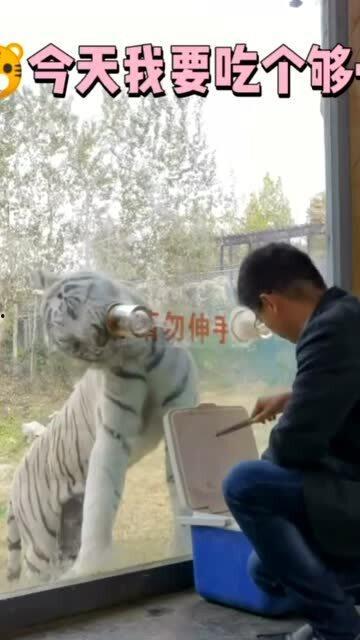 吃瓜是生物本能嘛,探寻人类生物本能的奥秘