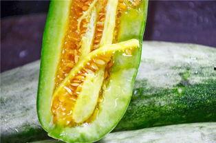 宸安带你吃瓜,尽享味蕾盛宴 第2张 宸安带你吃瓜,尽享味蕾盛宴 第2张