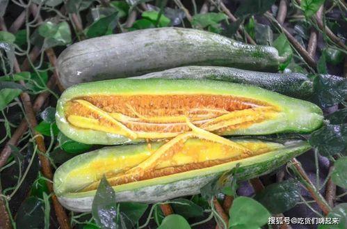 宸安带你吃瓜,尽享味蕾盛宴 第3张 宸安带你吃瓜,尽享味蕾盛宴 第3张