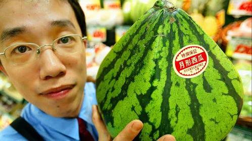 女生酒店吃瓜,揭秘女生宿舍里的美食秘密 第3张 女生酒店吃瓜,揭秘女生宿舍里的美食秘密 第3张