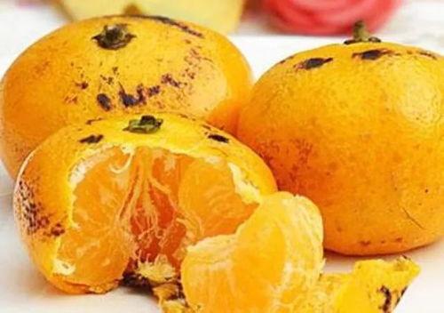 胖胖橘滑板吃瓜,一场趣味横生的街头盛宴 第3张 胖胖橘滑板吃瓜,一场趣味横生的街头盛宴 第3张