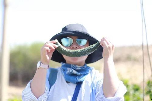 跟着大胜吃瓜,揭秘娱乐圈幕后故事