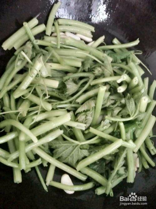 瓜尖怎么炒着吃,家常美味新尝试  第2张