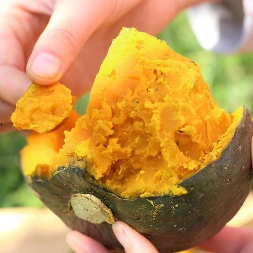 天天吃板栗瓜好吗,天天享用，健康美味两不误  第3张