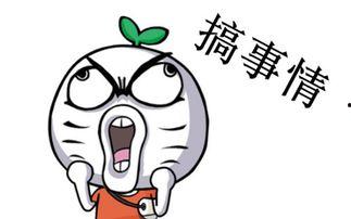 吃瓜幽默的音频,揭秘吃瓜幽默背后的欢乐秘密  第1张