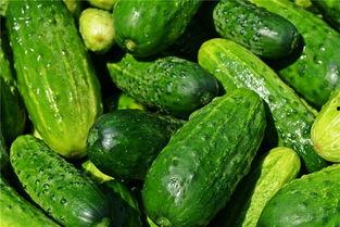 女人梦到吃蒜台瓜,女人梦到蒜台瓜的神秘寓意  第2张