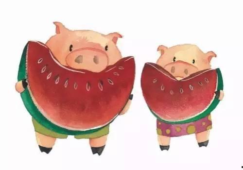 四猪吃瓜,趣味横生话农耕