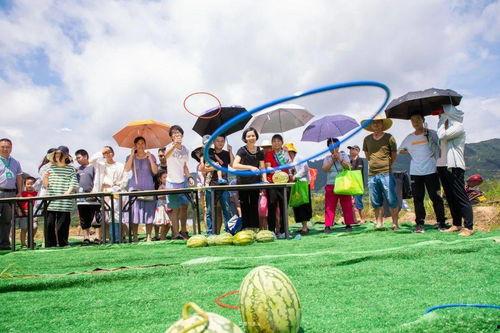 梁山新闻吃瓜,吃瓜群众热议最新热点事件  第3张