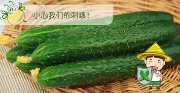 你吃的瓜叫什么瓜,揭秘“根据你吃的瓜叫什么瓜”的神秘魅力