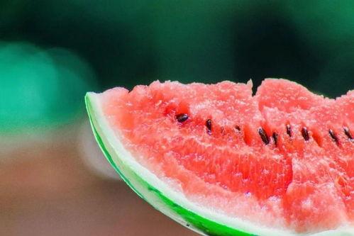 小圆圈吃瓜,揭秘网络热点的幕后故事