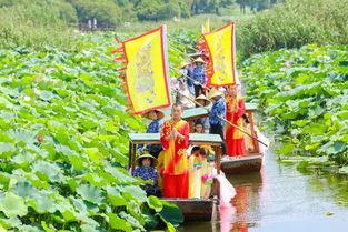 沙河公园在线吃瓜,在线吃瓜，畅享夏日休闲时光