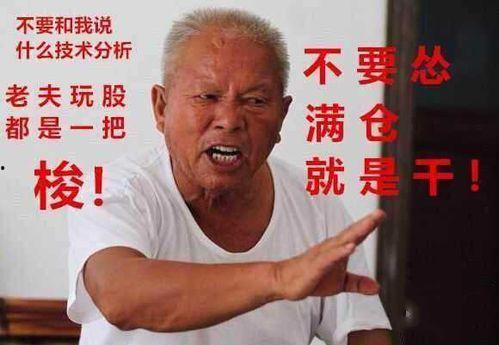 不卖房了吃瓜,聚焦吃瓜乐趣，生活新篇章开启