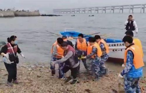 大连海事吃瓜视频,揭秘校园生活趣味瞬间