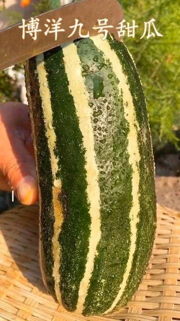 近来有什么瓜吃,揭秘那些让人“瓜”意盎然的瞬间