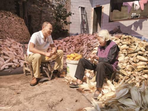 伊川吃瓜事件始末