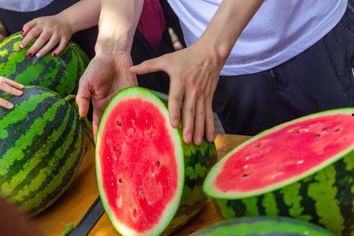 学校拆凳子吃瓜,拆凳子吃瓜背后的故事