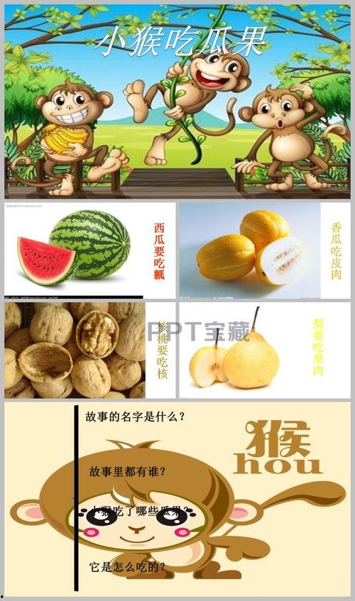 猴子吃瓜ppt模板,探索趣味与智慧的碰撞