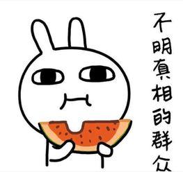 爬楼吃瓜搞笑句子