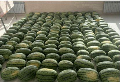 安徽吃瓜新闻,一场引发全民热议的本地事件揭秘