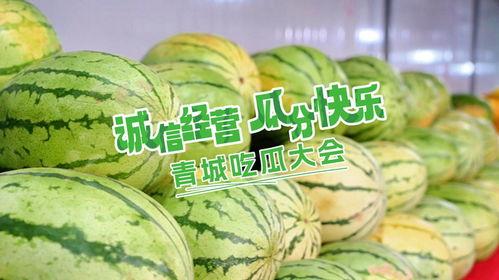 吃瓜大会全部,揭秘娱乐圈幕后故事与热点事件