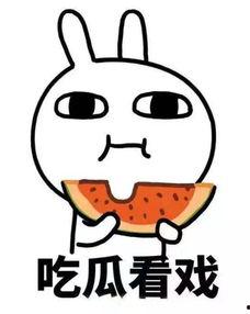 吃瓜也要听指挥,听指挥共筑美好未来