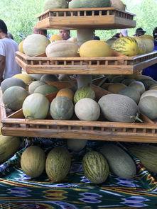 最新吃瓜事件新疆,揭秘背后真相与争议