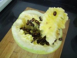 兰州籽瓜免费吃