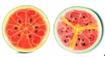 吃瓜吃多了吐,揭秘网络舆论背后的真相