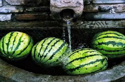 开始吃瓜了,从“开始吃瓜了”看明星幕后故事