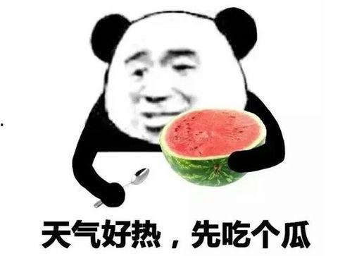 吃瓜震撼表情包,网络时代的幽默新宠